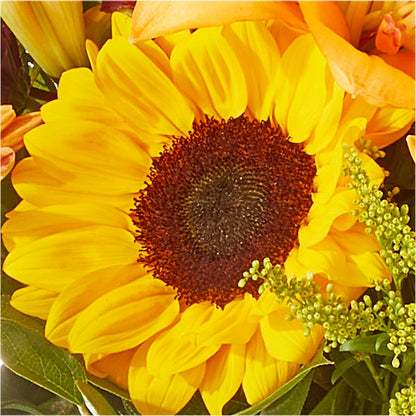 Seasons Change Bouquet – D'FLOR FLOWERS AND GIFTS SHOP INC, San Juan PR