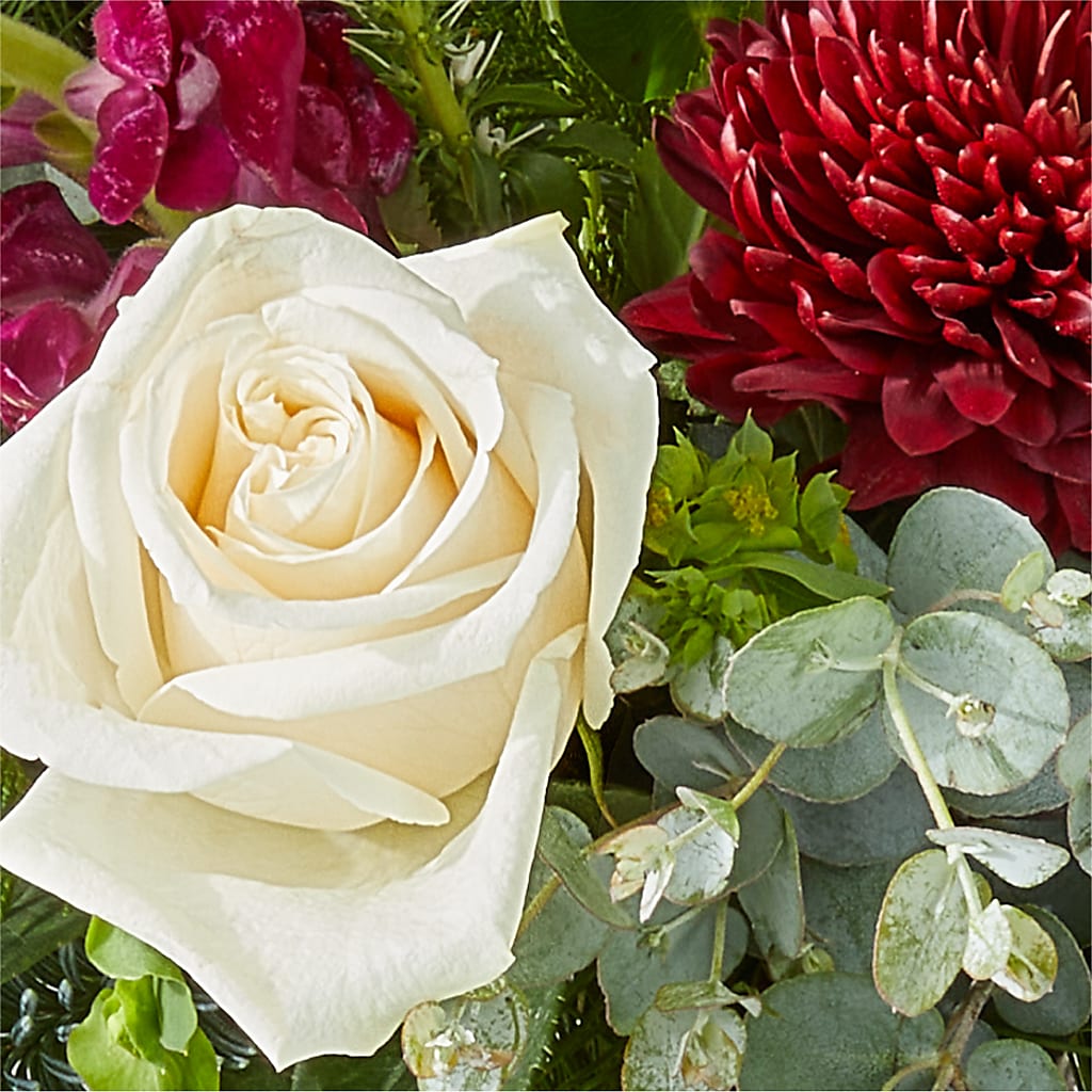 Cranberry Fizz Bouquet – D'FLOR FLOWERS AND GIFTS SHOP INC, San Juan PR