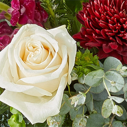 Cranberry Fizz Bouquet – D'FLOR FLOWERS AND GIFTS SHOP INC, San Juan PR