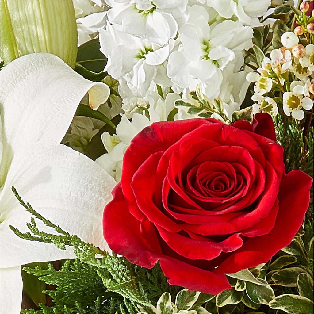Twinkle Lights Bouquet – D'FLOR FLOWERS AND GIFTS SHOP INC, San Juan PR