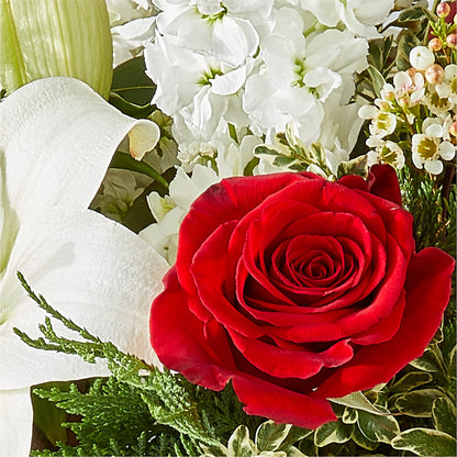 Twinkle Lights Bouquet – D'FLOR FLOWERS AND GIFTS SHOP INC, San Juan PR