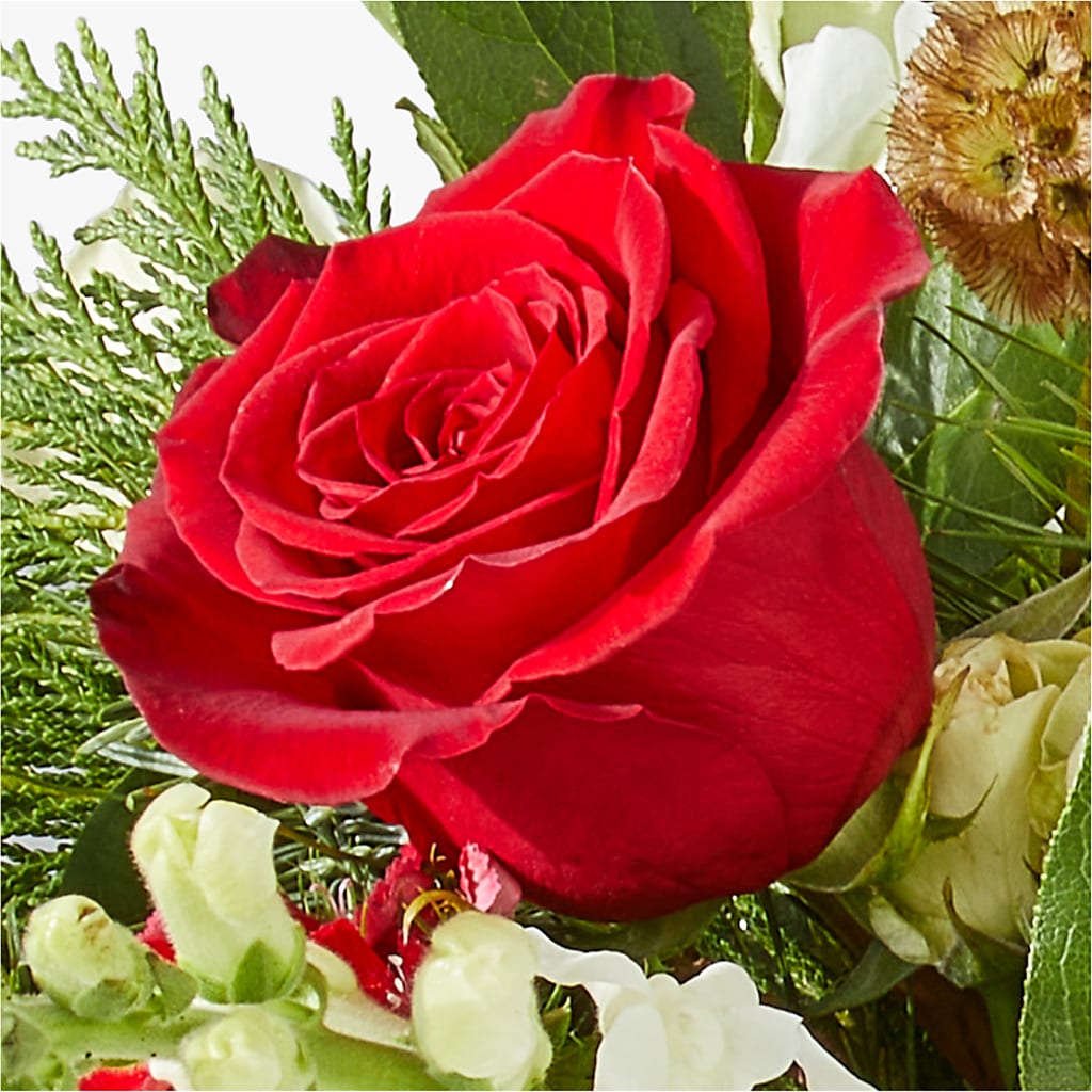 Deck the Halls Bouquet – D'FLOR FLOWERS AND GIFTS SHOP INC, San Juan PR