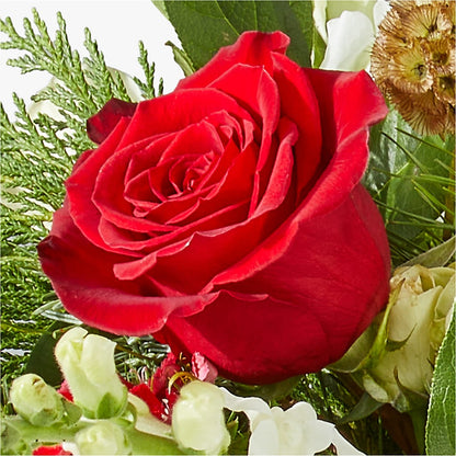 Deck the Halls Bouquet – D'FLOR FLOWERS AND GIFTS SHOP INC, San Juan PR