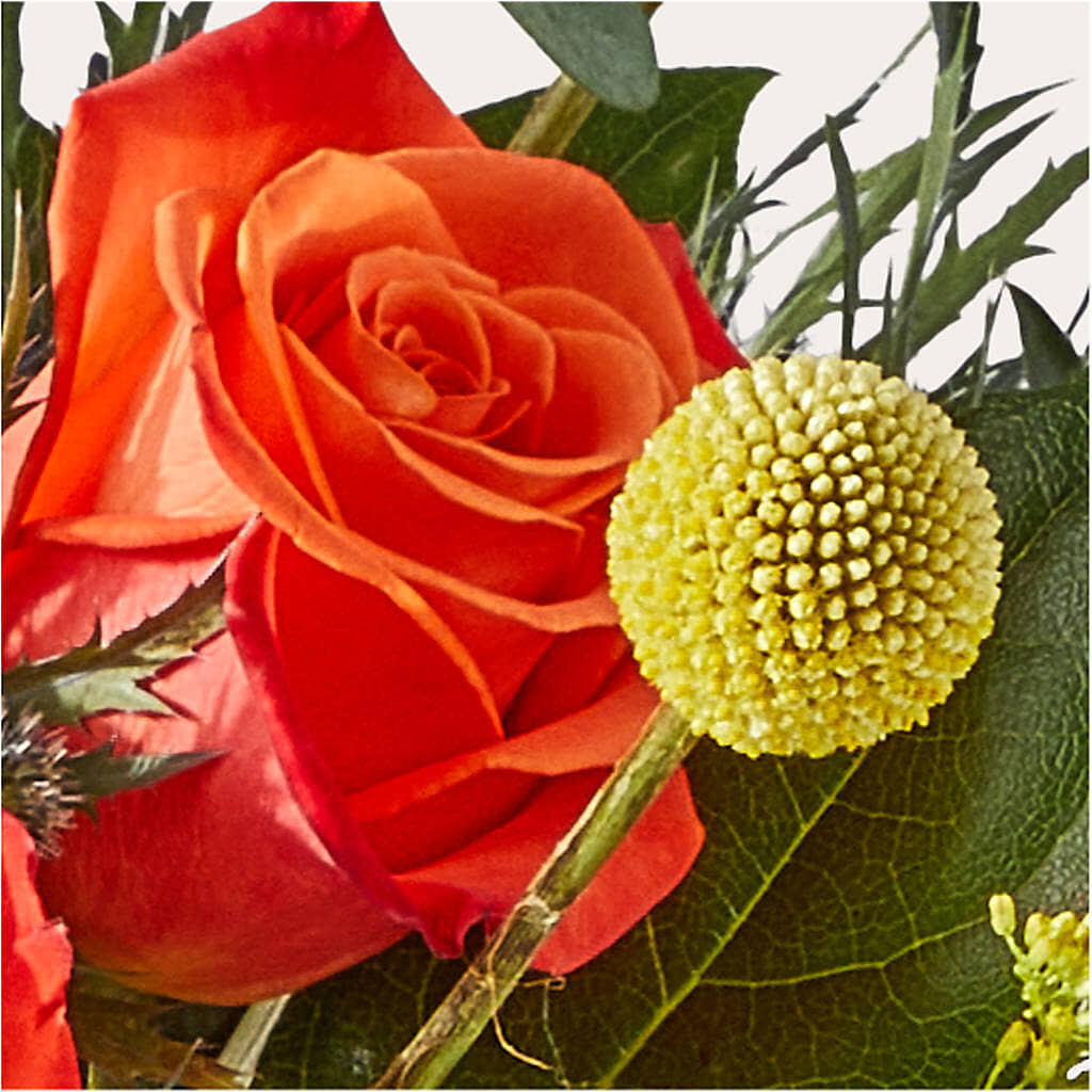 Disco Bouquet – D'FLOR FLOWERS AND GIFTS SHOP INC, San Juan PR