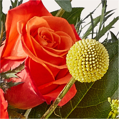 Disco Bouquet – D'FLOR FLOWERS AND GIFTS SHOP INC, San Juan PR