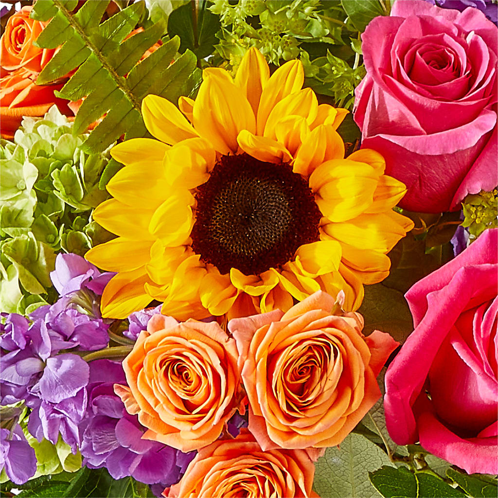 Vibrant Greetings Bouquet – D'FLOR FLOWERS AND GIFTS SHOP INC, San Juan PR
