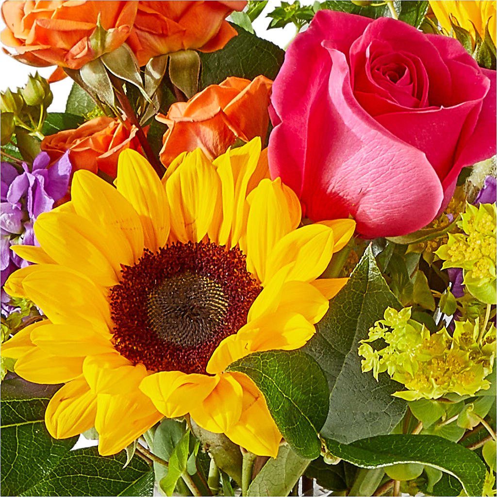 Vibrant Greetings Bouquet – D'FLOR FLOWERS AND GIFTS SHOP INC, San Juan PR