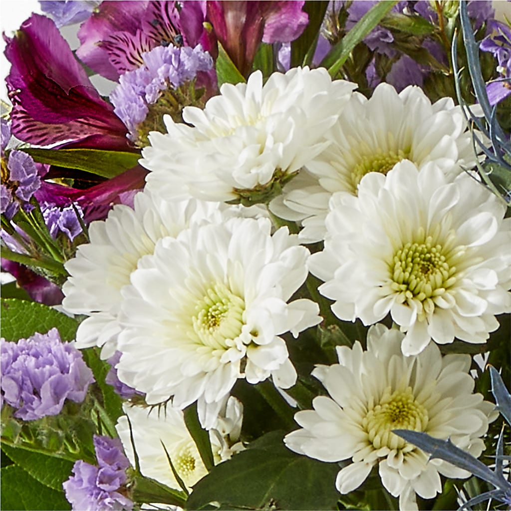 Shooting Star Bouquet – D'FLOR FLOWERS AND GIFTS SHOP INC, San Juan PR