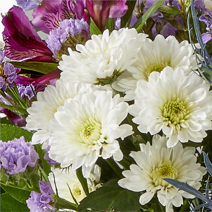 Shooting Star Bouquet – D'FLOR FLOWERS AND GIFTS SHOP INC, San Juan PR