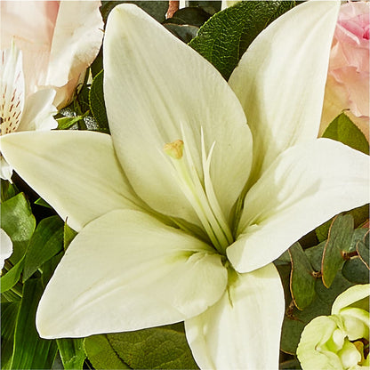 Ballet Slippers Bouquet – D'FLOR FLOWERS AND GIFTS SHOP INC, San Juan PR