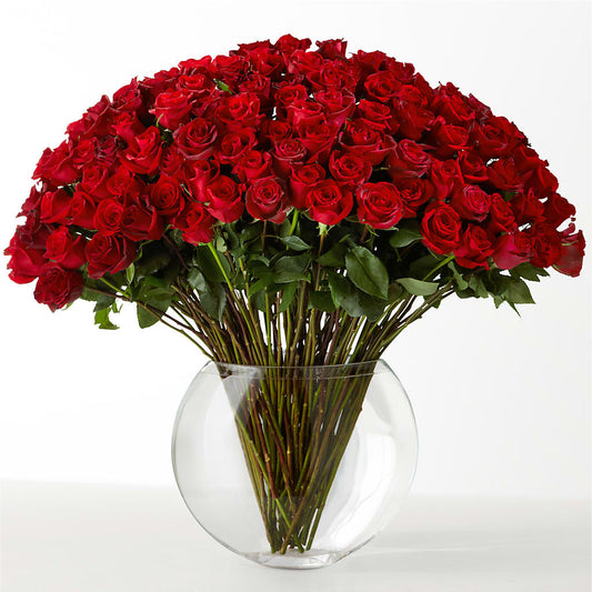 The Idealist – D'FLOR FLOWERS BOUTIQUE, San Juan PR