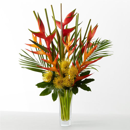 The Drama – D'FLOR FLOWERS BOUTIQUE, San Juan PR