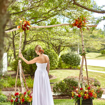 Arbor of Love Archway – D'FLOR FLOWERS BOUTIQUE, San Juan PR