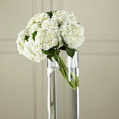 White Hydrangea Hand-Tied Bouquet – D'FLOR FLOWERS BOUTIQUE, San Juan PR