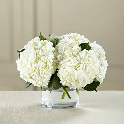 White Hydrangea Bouquet – D'FLOR FLOWERS BOUTIQUE, San Juan PR